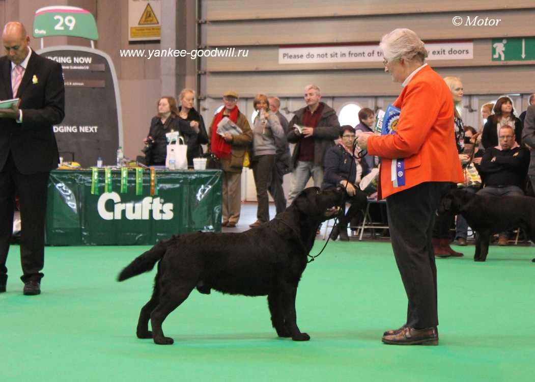 crufts16_dad.jpg