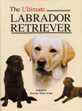 Labrador Crufts 2007 Лабрадор