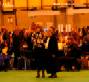 Labrador Crufts 2007 