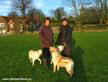 Labrador Crufts 2007 