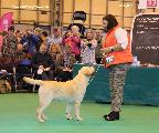 crufts2012