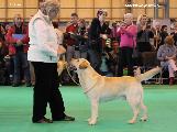 crufts2012