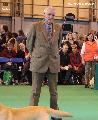 crufts2012