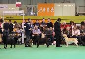 crufts2012