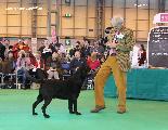 crufts2012