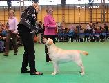 crufts2012