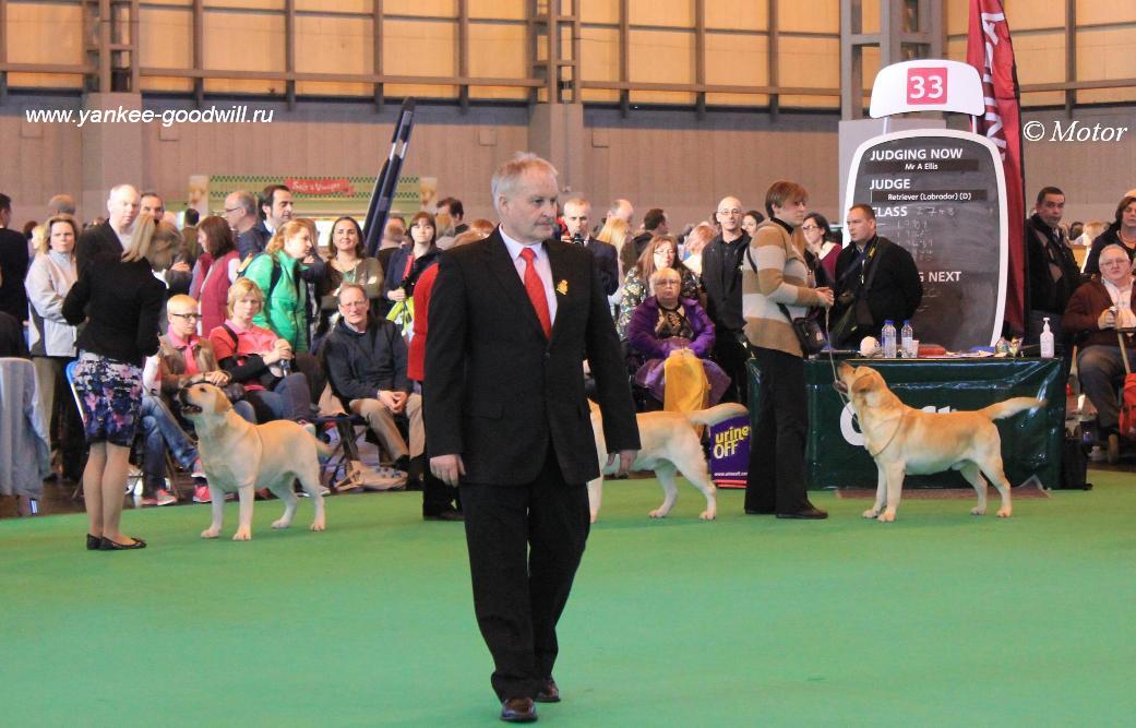 crufts2014_judge.jpg