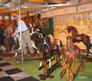 crufts_2008