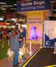 crufts_2008