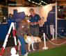 crufts_2008