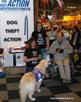 crufts_2008