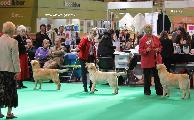 crufts_2011