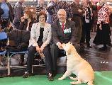 crufts_2012