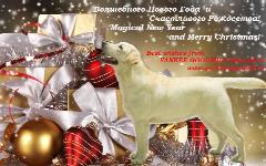 Счастливого Нового 2015 Года!
