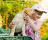 labrador puppies  