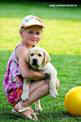 labrador puppies  