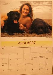 The Labrador Breeder Calendar