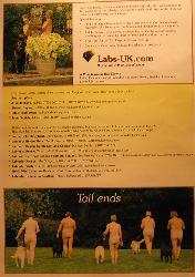 The Labrador Breeder Calendar