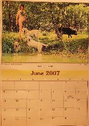 The Labrador Breeder Calendar