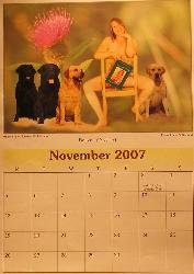 The Labrador Breeder Calendar