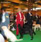 labrador_crufts2008