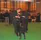 labrador_crufts2008