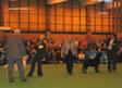 labrador_crufts2008