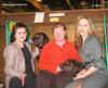 labrador_crufts2008