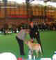 labrador_crufts2008