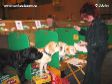 Labrador Crufts  