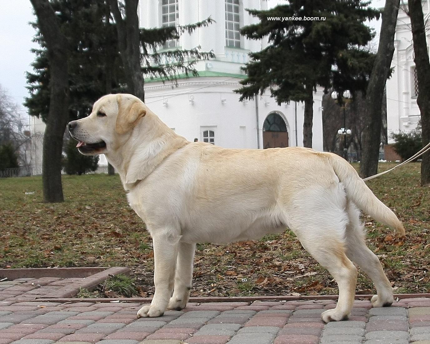 labrador_freeway7.jpg