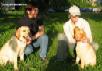 Лабрадоры Labradors