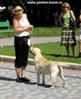 Labrador Marygold Ledy Mascot Skif