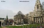 London  Labrador 