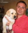 Labrador YANKEE GOODWILL Nonpareil Loran For Aitsi 