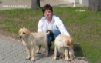 Щенки Лабрадора Labrador Puppies