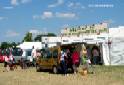 Labrador Windsor Show 