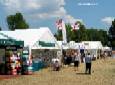 Labrador Windsor Show 