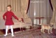 Лабрадор Янки Гудвилл Олд Мастер Yankee Goodwill Old Master Labrador